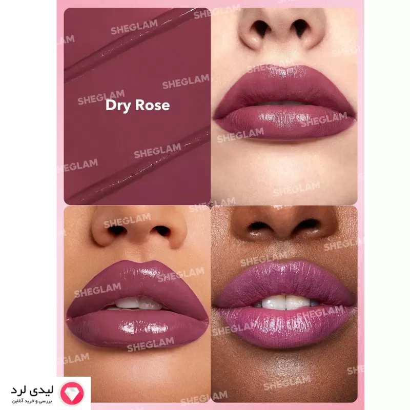 رژ لب مات مدل درای رز شیگلم رنگ C301 DRY ROSE