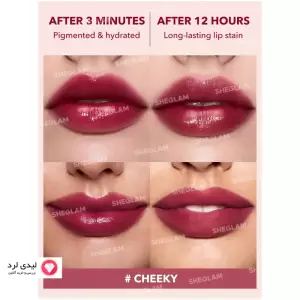 SHEGLAM Take A Hint Lip Tint-Cheeky