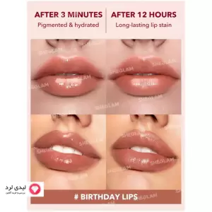 Sheglam Take A Hint Lip Tint-Birthday Lips